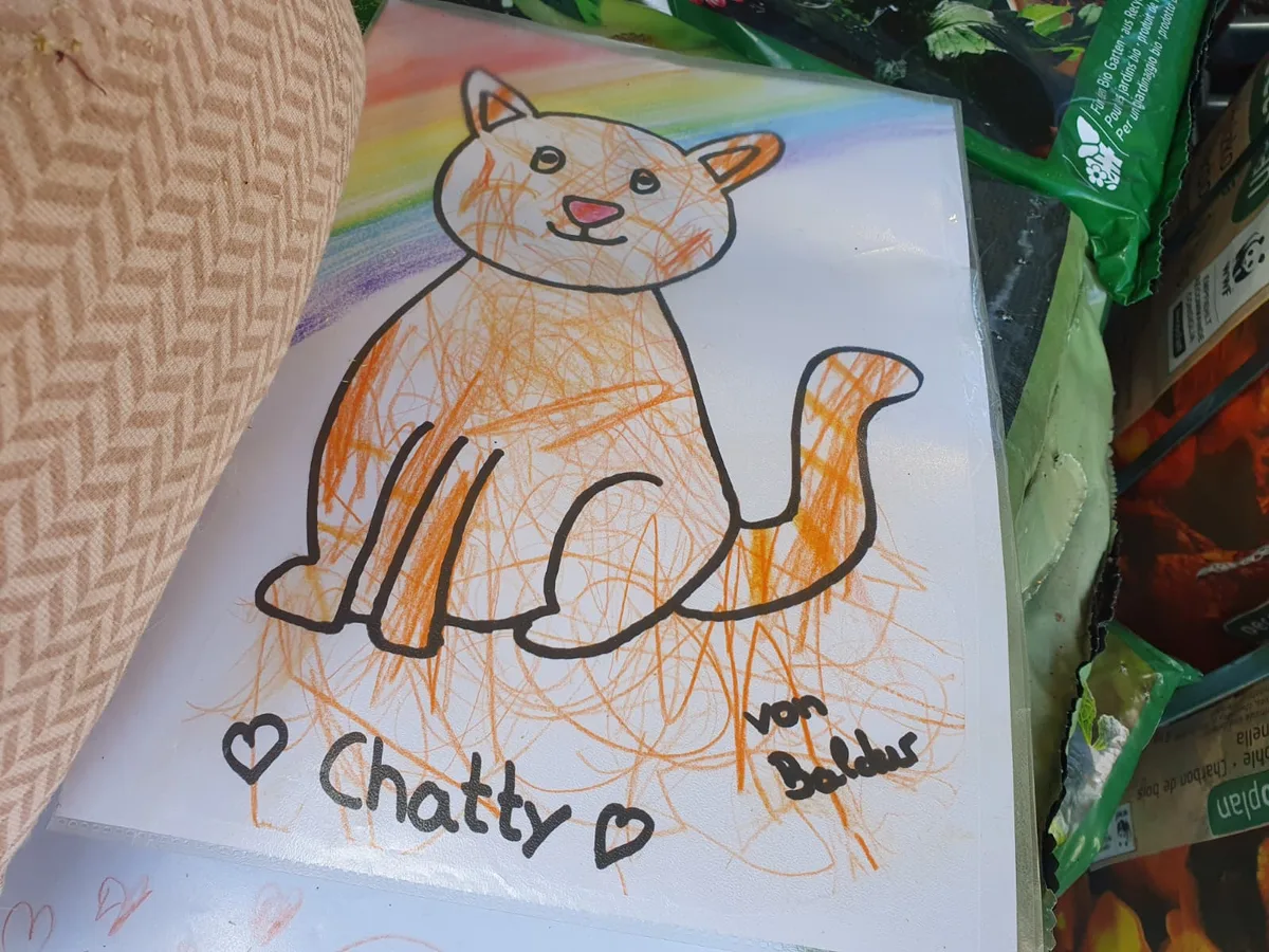 grosse Anteilnahme am Tod von Coop-Büsi Chatty